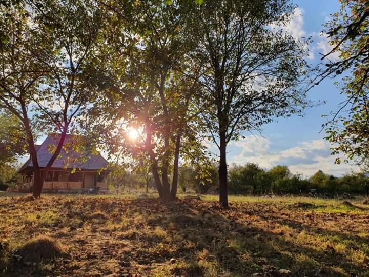 Casuta Din Gradina Breb Exterior foto