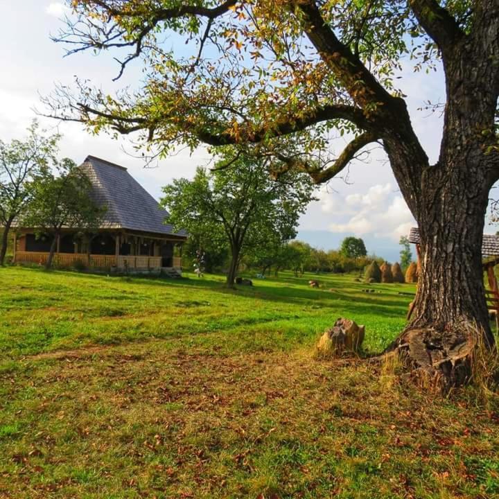 Casuta Din Gradina Breb Exterior foto