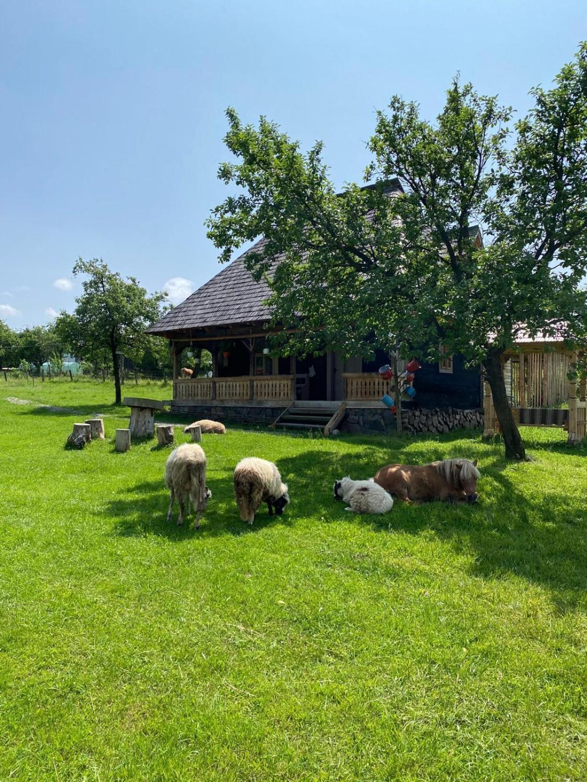 Casuta Din Gradina Breb Exterior foto